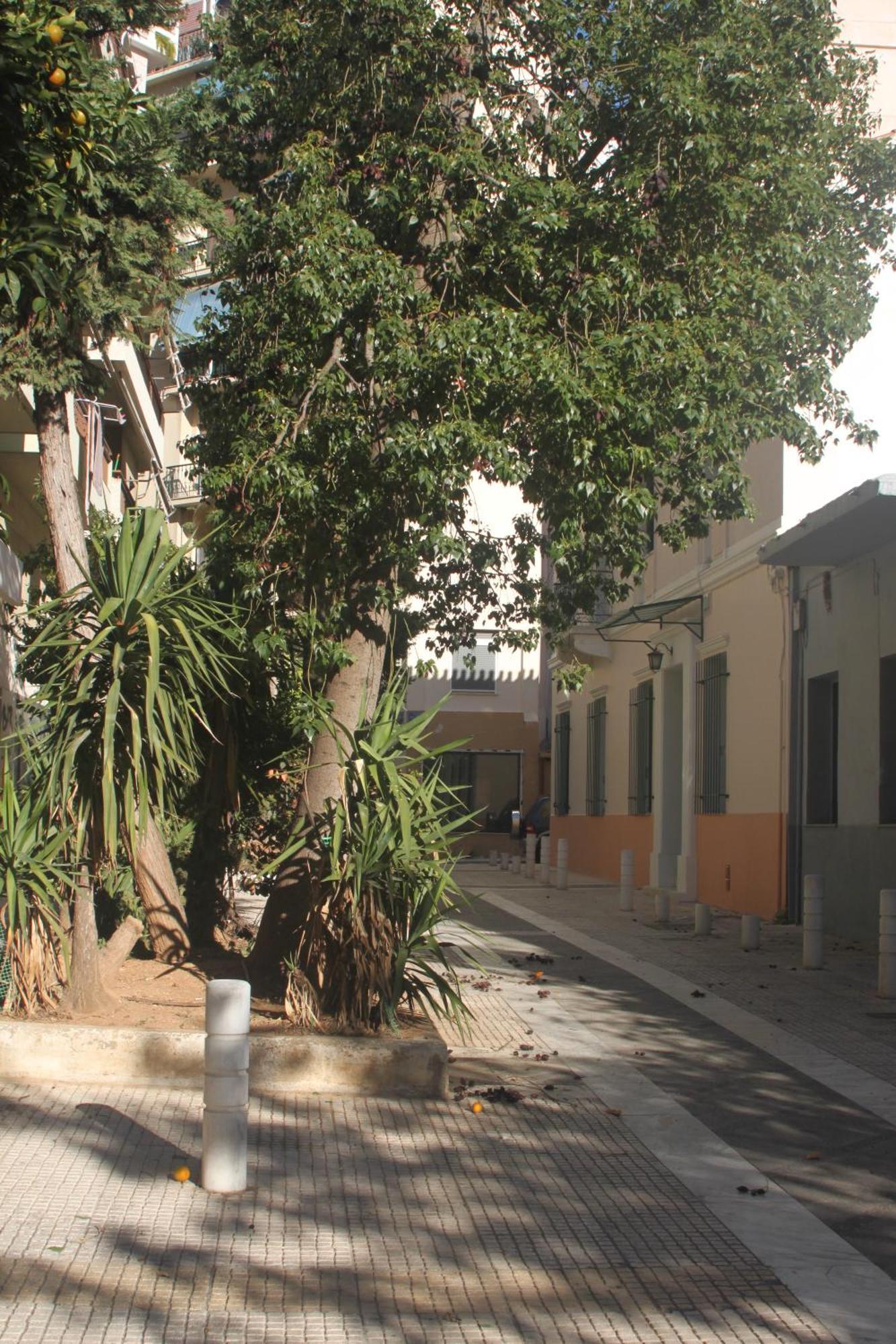 "Under The Olive Tree"- Beautiful Apartment In The Heart Of Athena Bagian luar foto