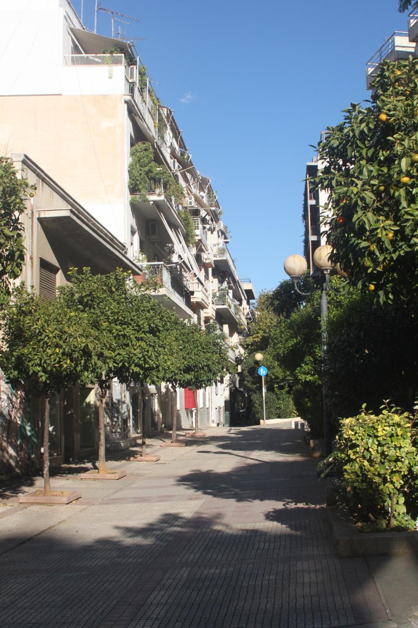 "Under The Olive Tree"- Beautiful Apartment In The Heart Of Athena Bagian luar foto