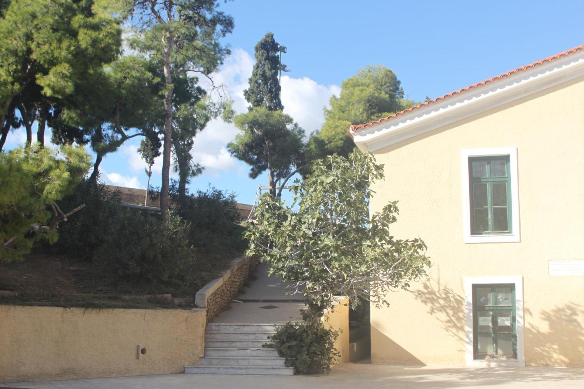 "Under The Olive Tree"- Beautiful Apartment In The Heart Of Athena Bagian luar foto