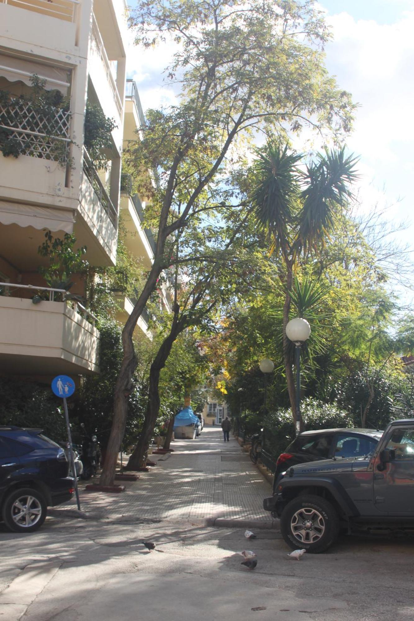 "Under The Olive Tree"- Beautiful Apartment In The Heart Of Athena Bagian luar foto